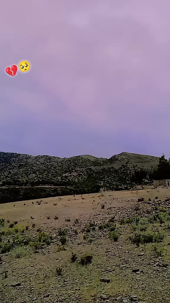 @(🥀🇦🇫HIMMAT* KING🥷🥀)