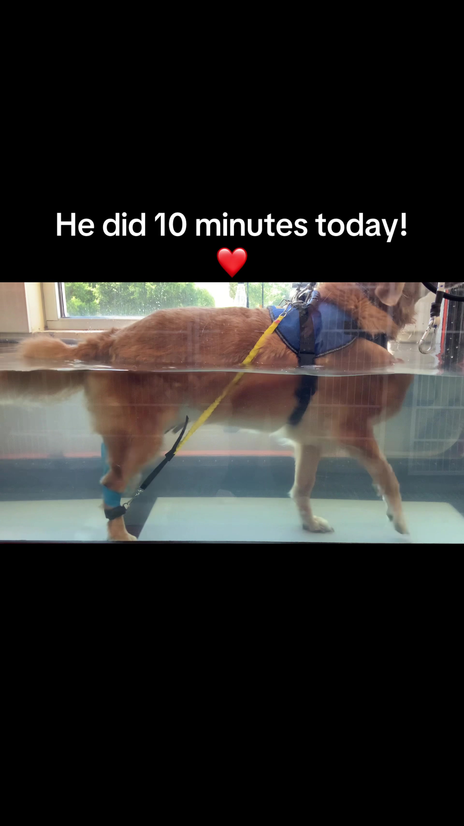 @lifewithduke2025