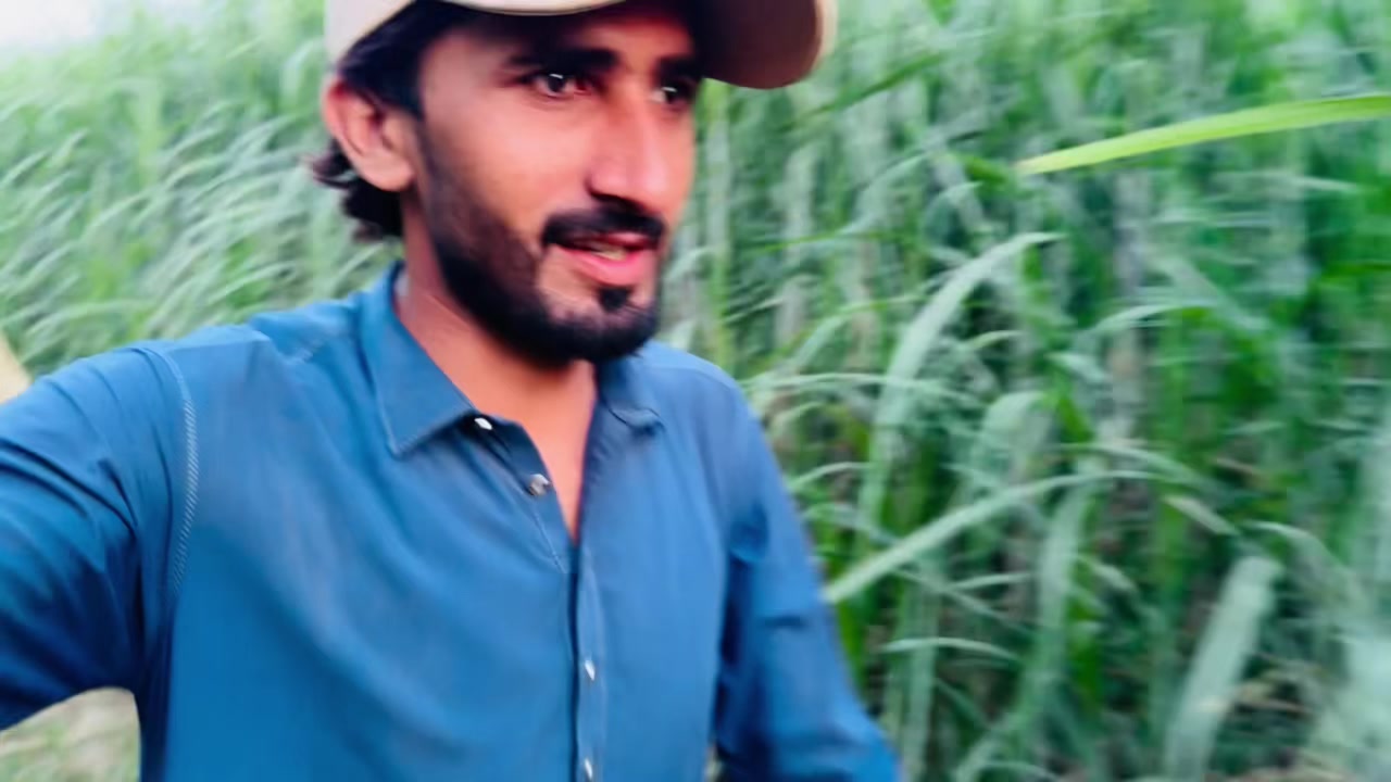 @Bhatti Vlogs 07