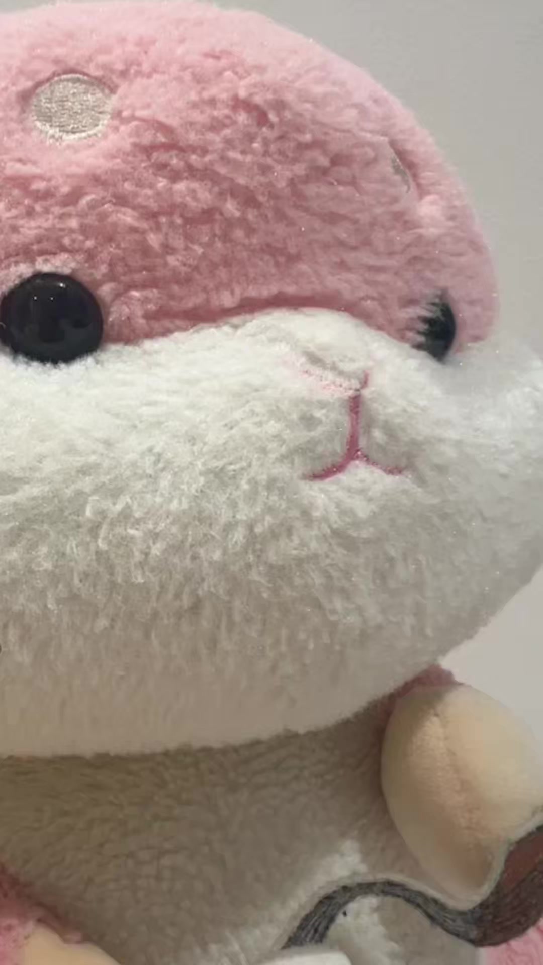 @🐹