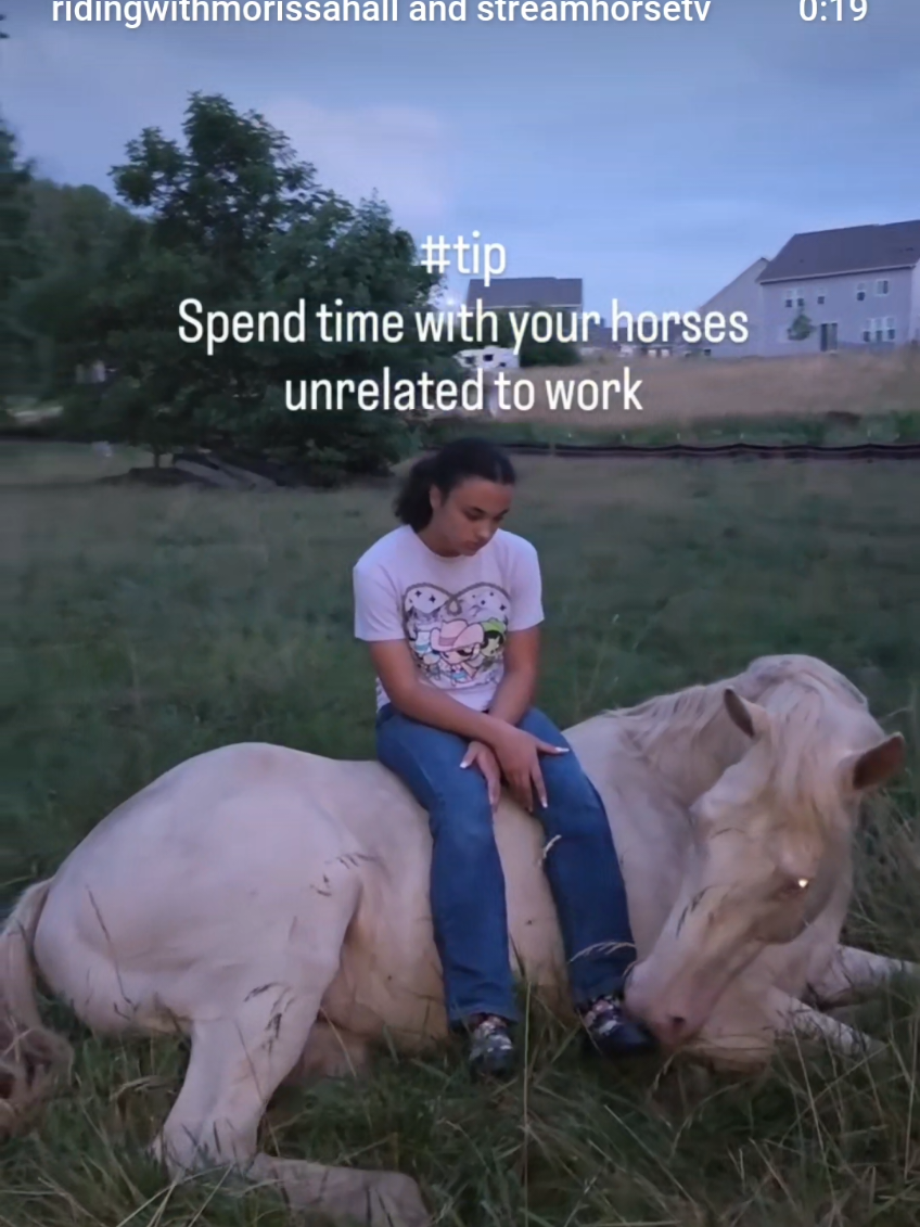 @streamhorse
