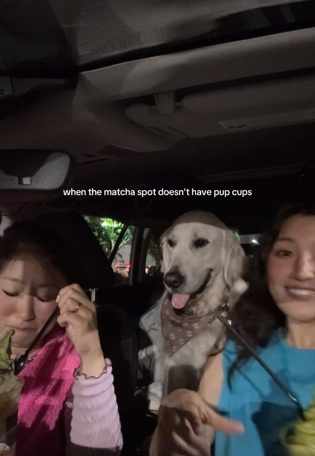 @Nat