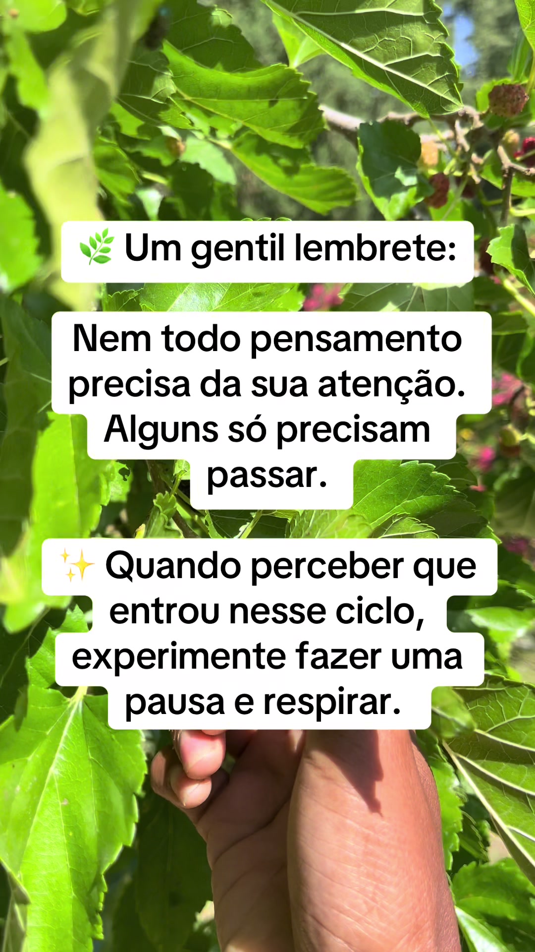 @Vanessa E. Santos | Terapeuta