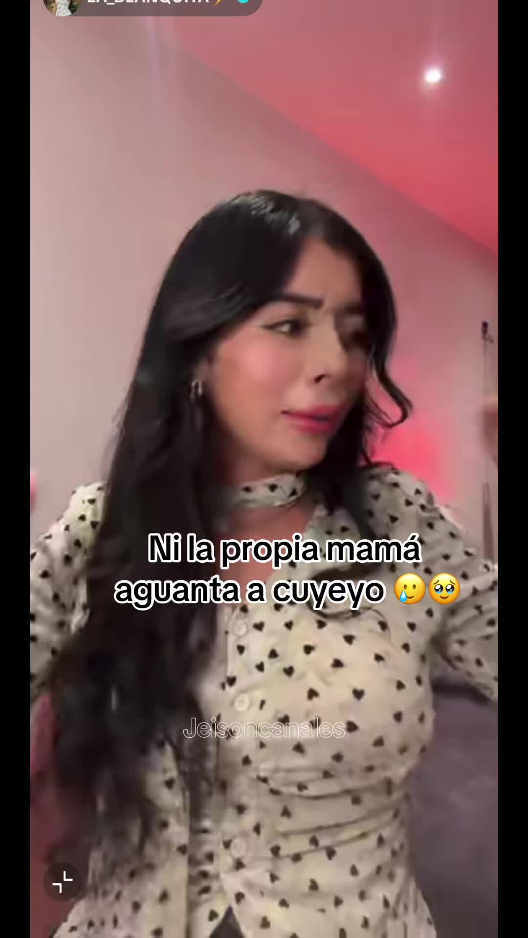 @Jeison Canales🐧🦜🐯🐢