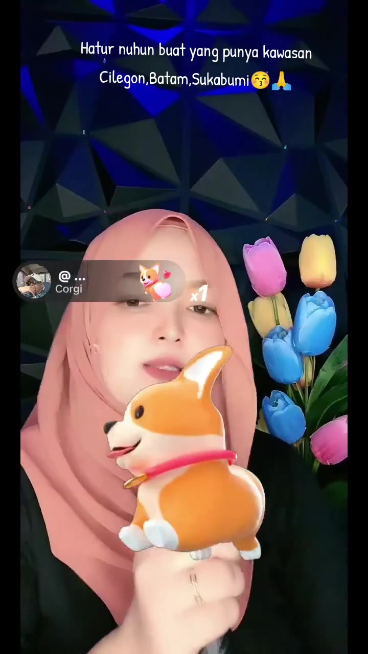 @Ce.amel13