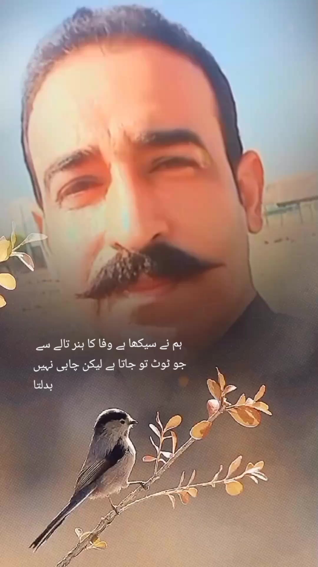 @warsi572 official