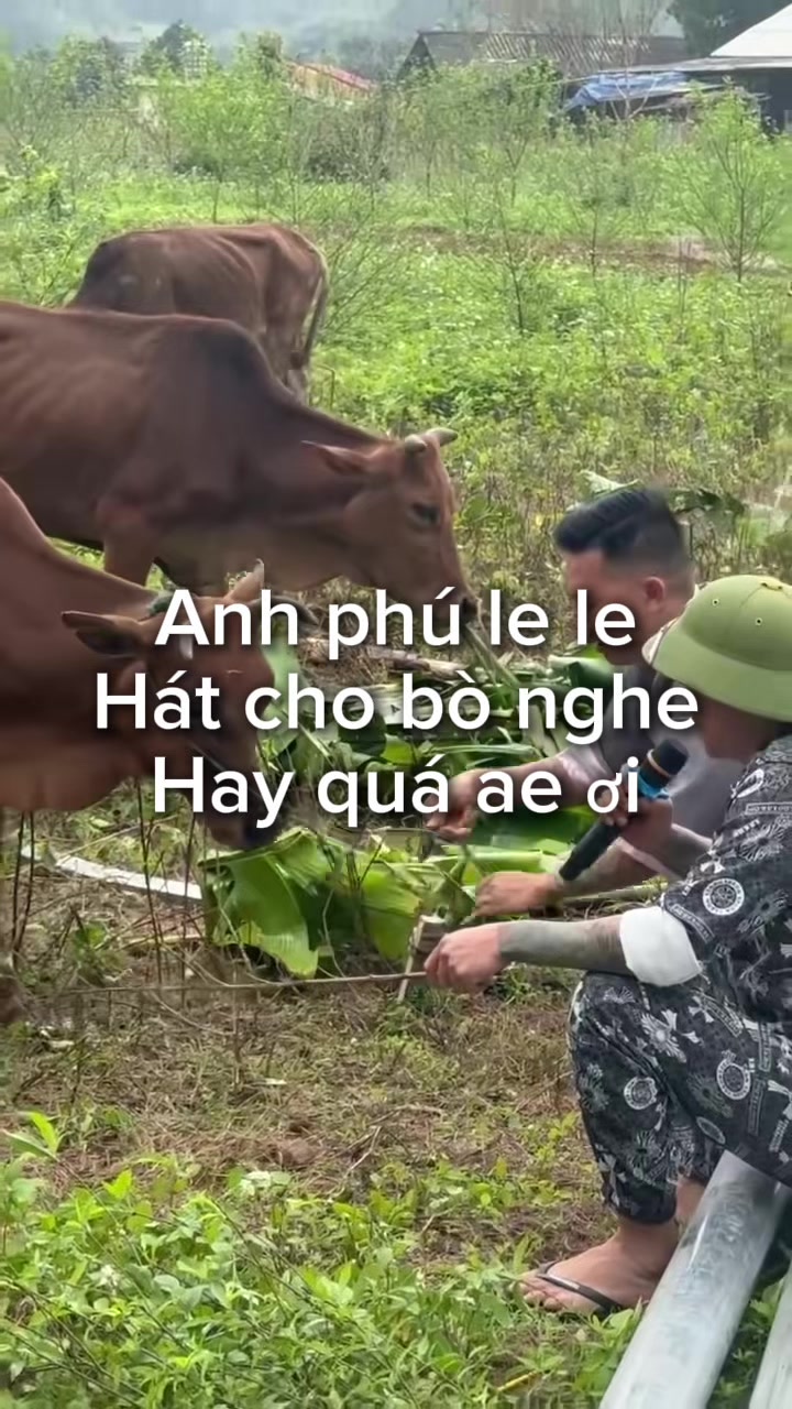 @NHẬT AUTO @967.194999