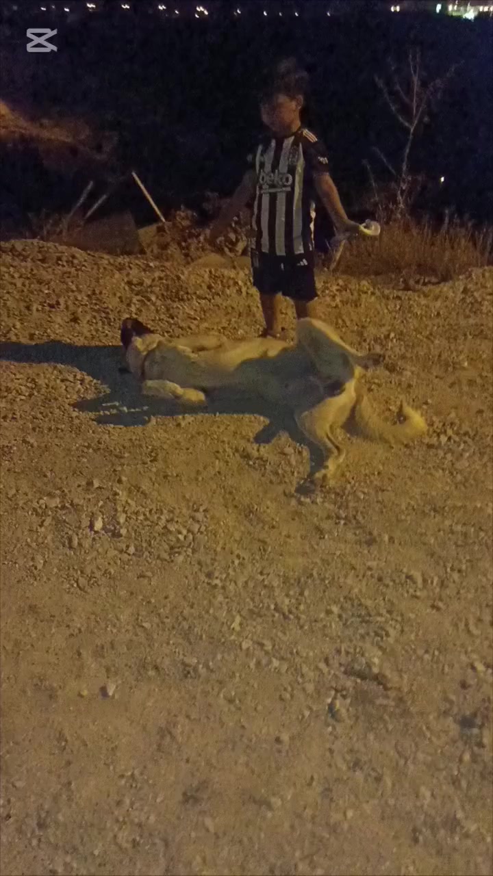 @Raşit