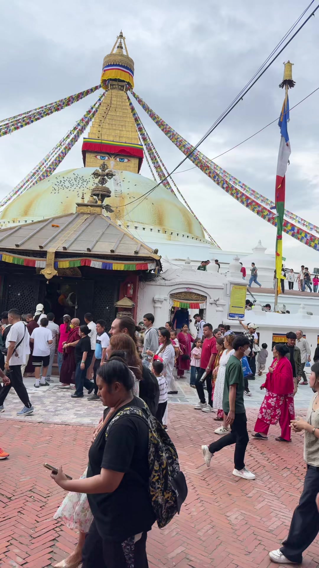 @Lotusལྷ་མོ།