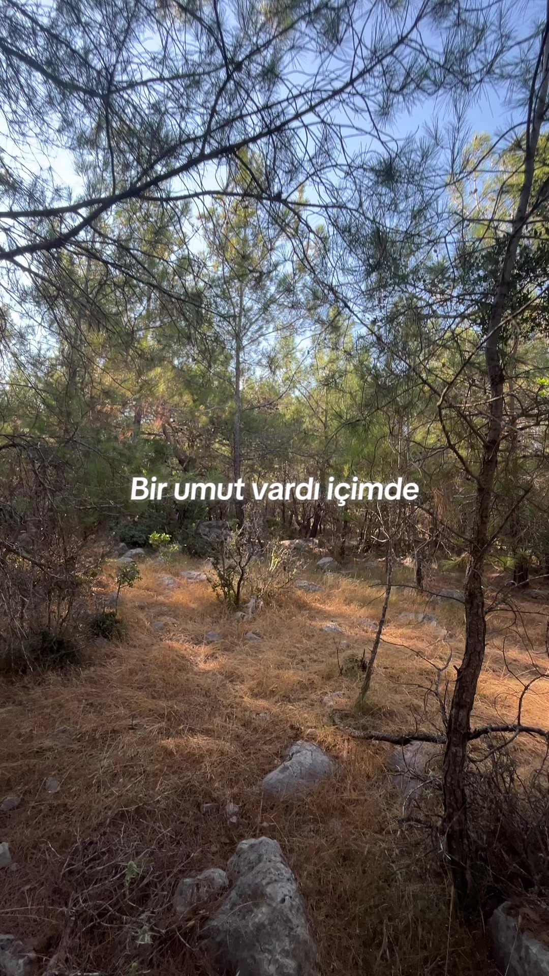 @Vesna