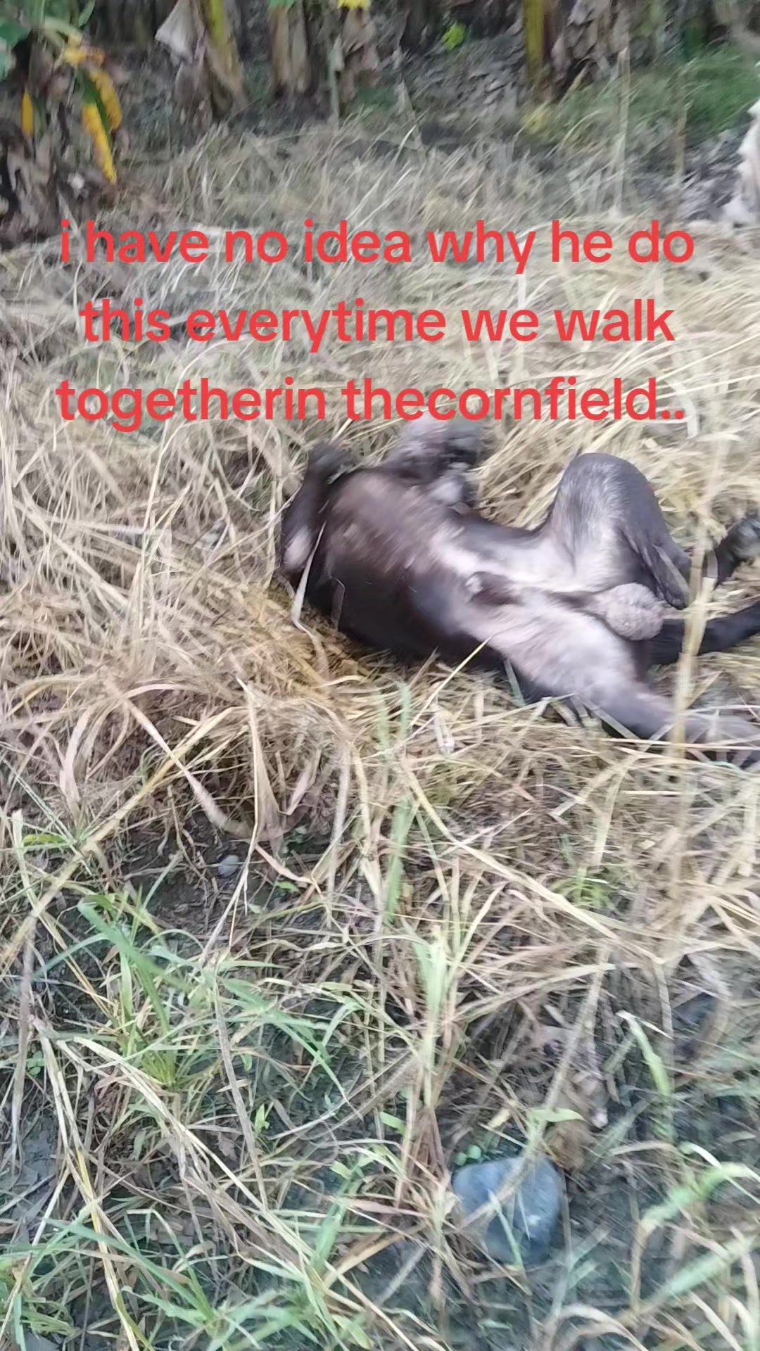 @caroline1215