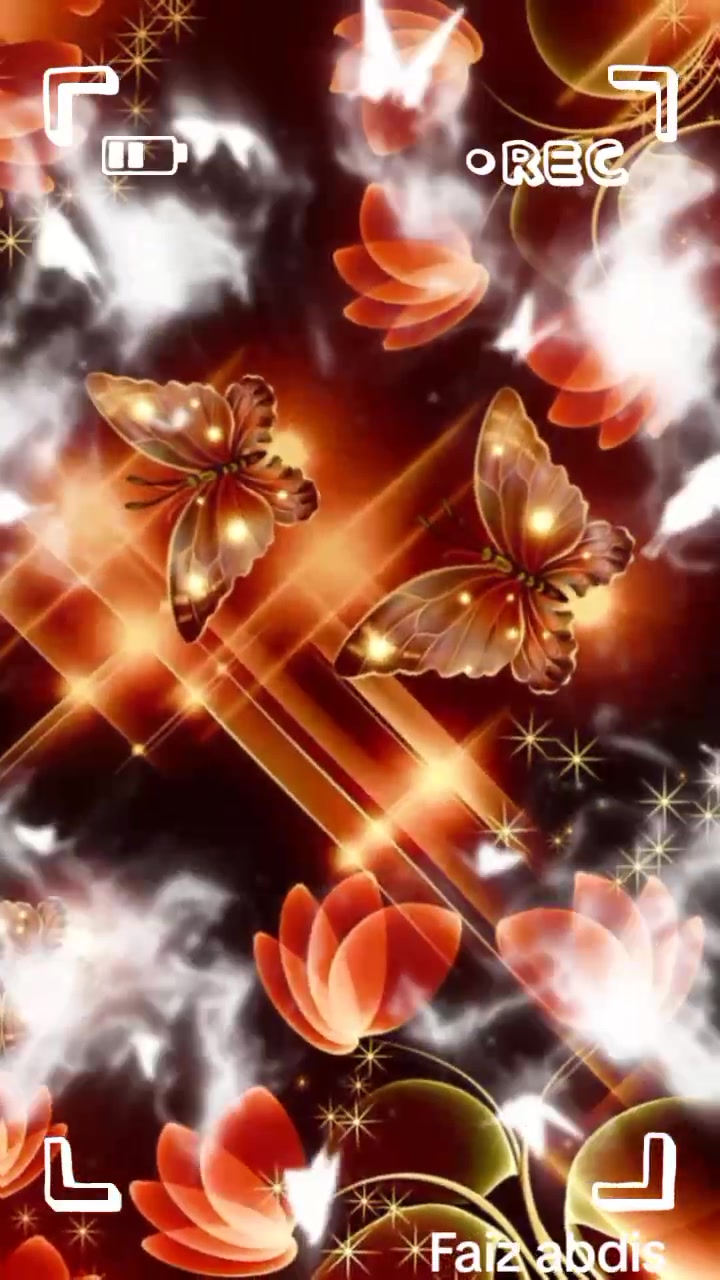 @dijol313