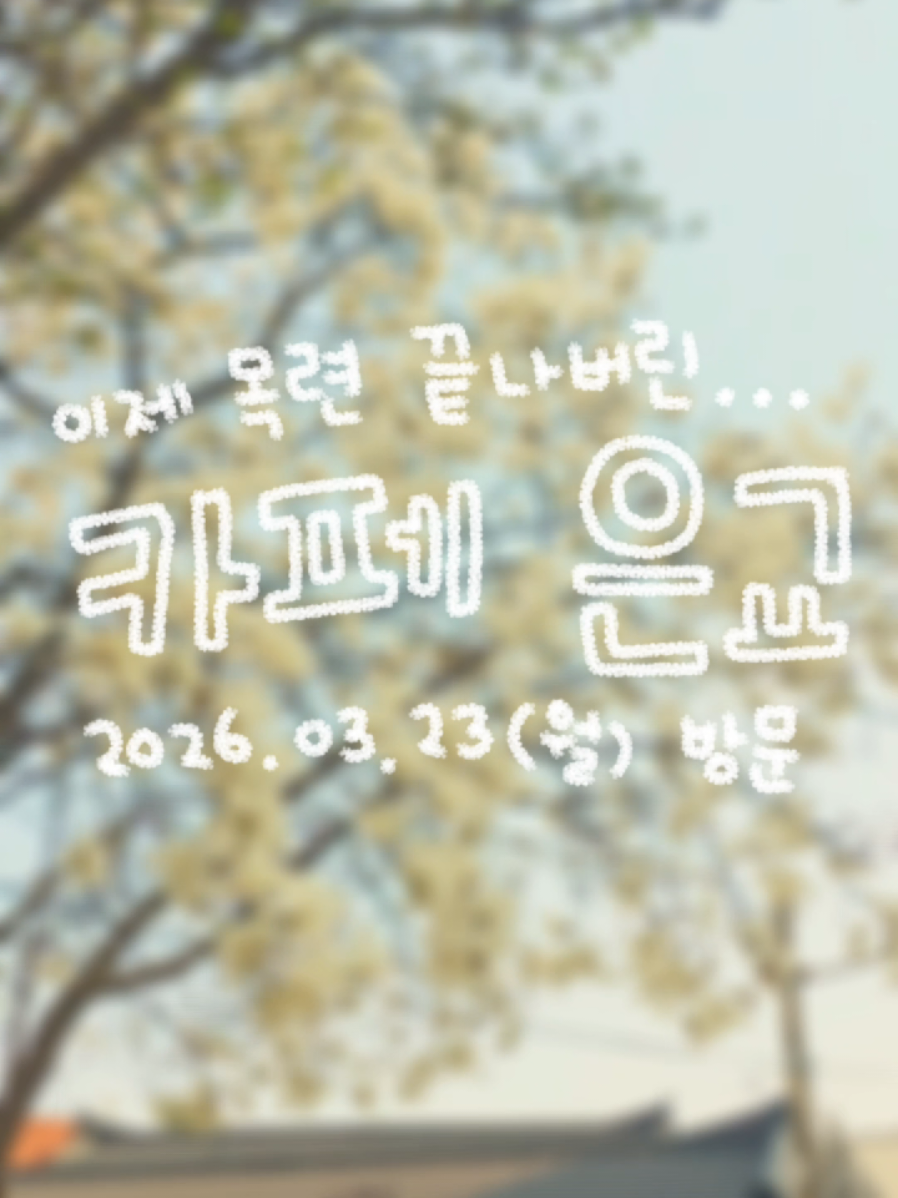 @오늘의 금지