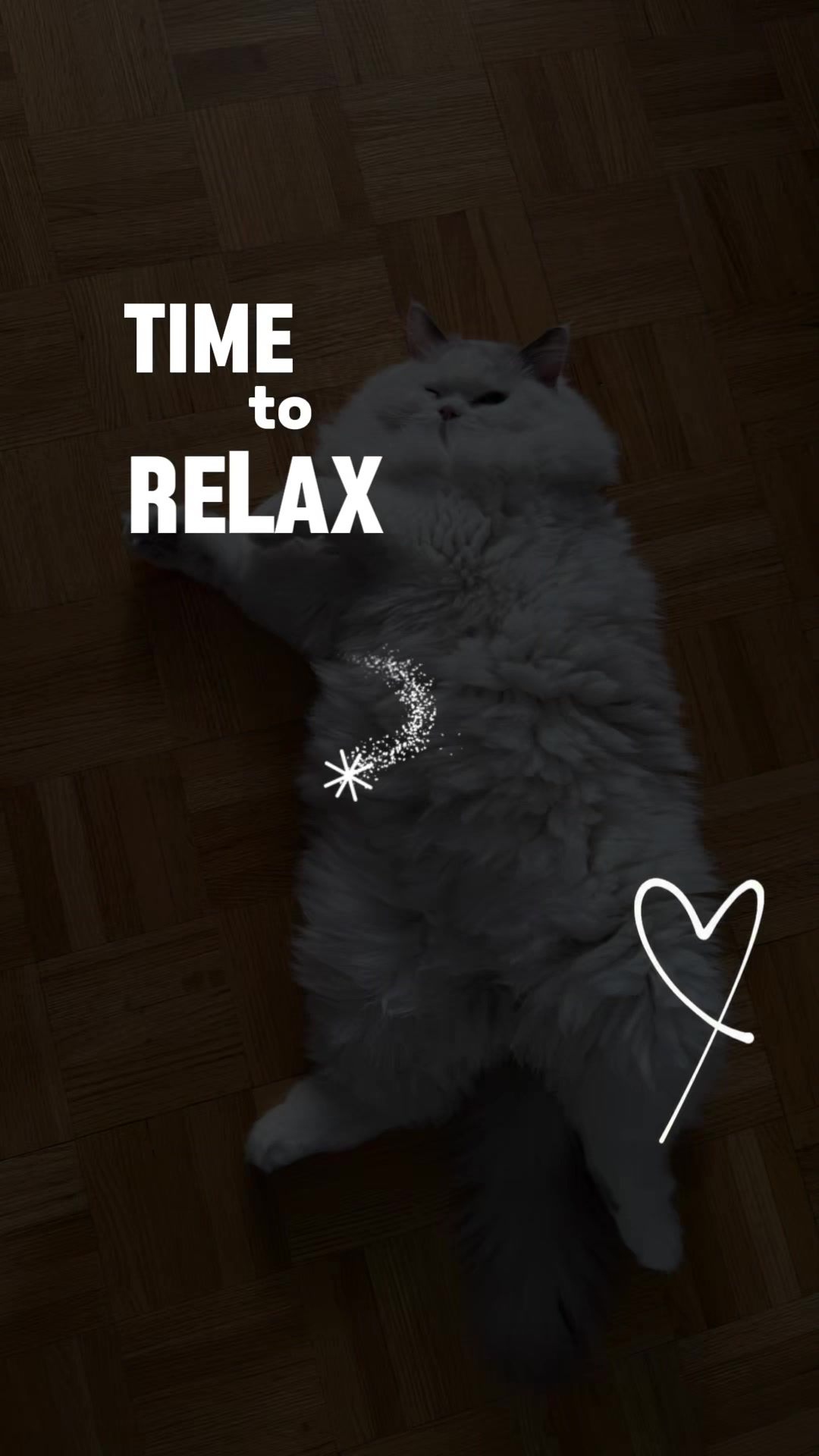 @Princess Yuna 😽