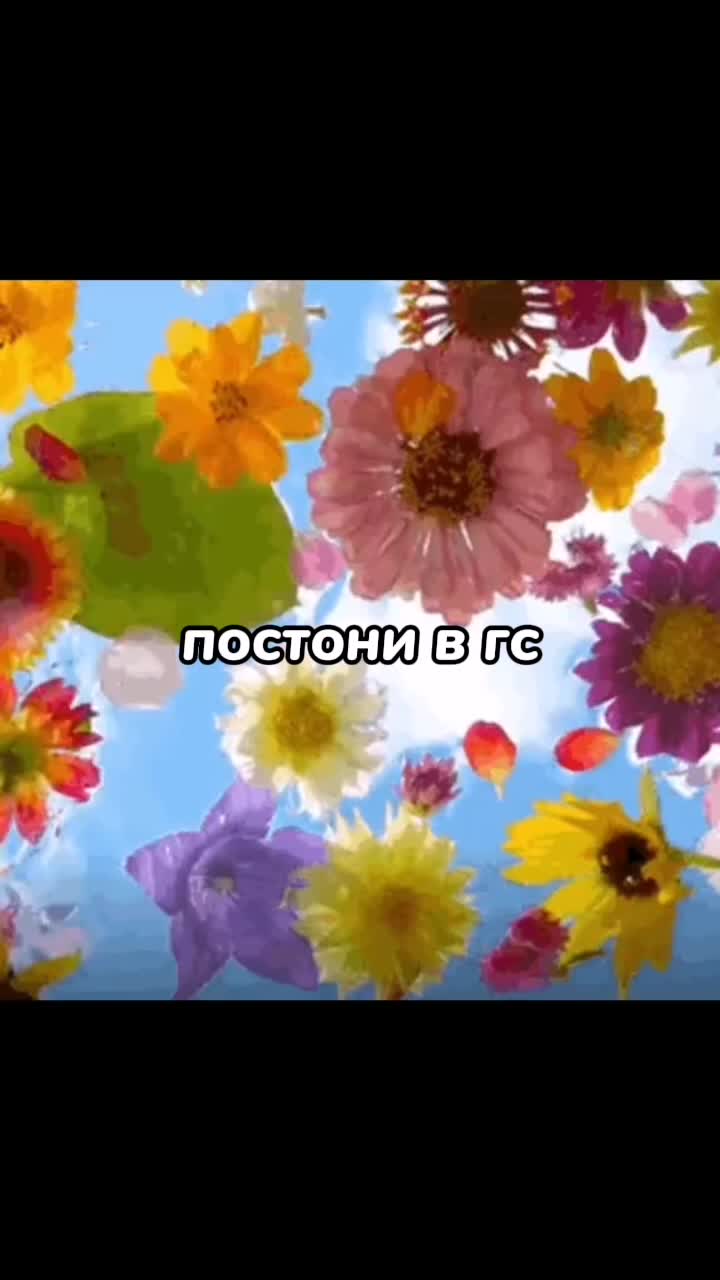 @✦ᴠɪᴠᴇɴᴀ୨୧