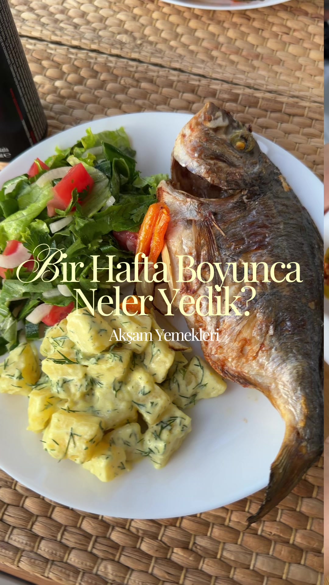 @Hande Üngörgil Molder