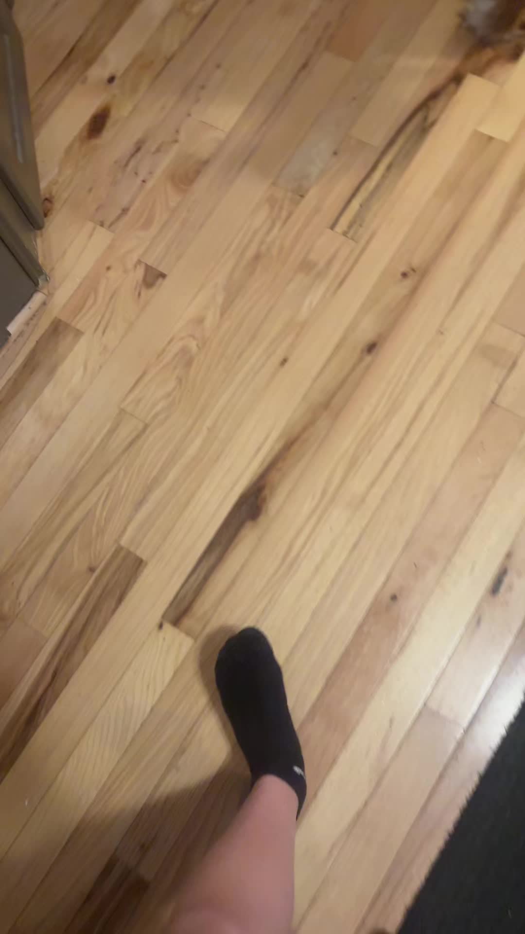 @Arialoves1942$
