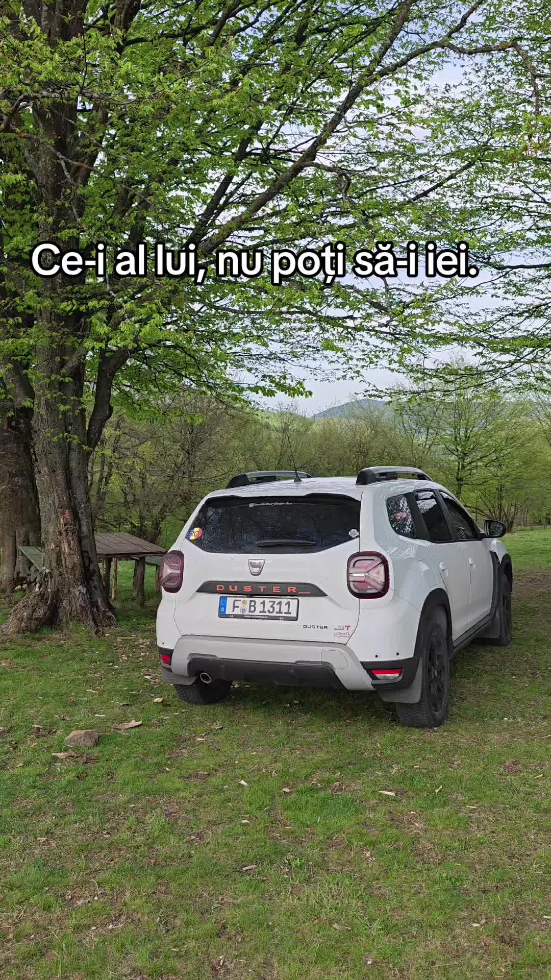 @ionuthabuc_duster_fan