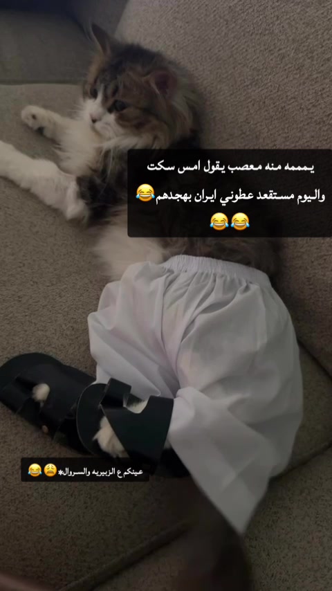 @ريم الملحم ( قهوه ) 🇸🇦☕️♥️