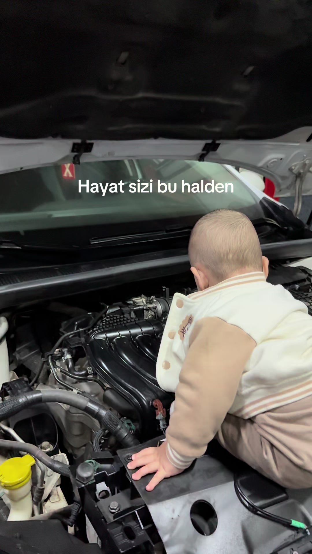 @Mesut kayaoğlu