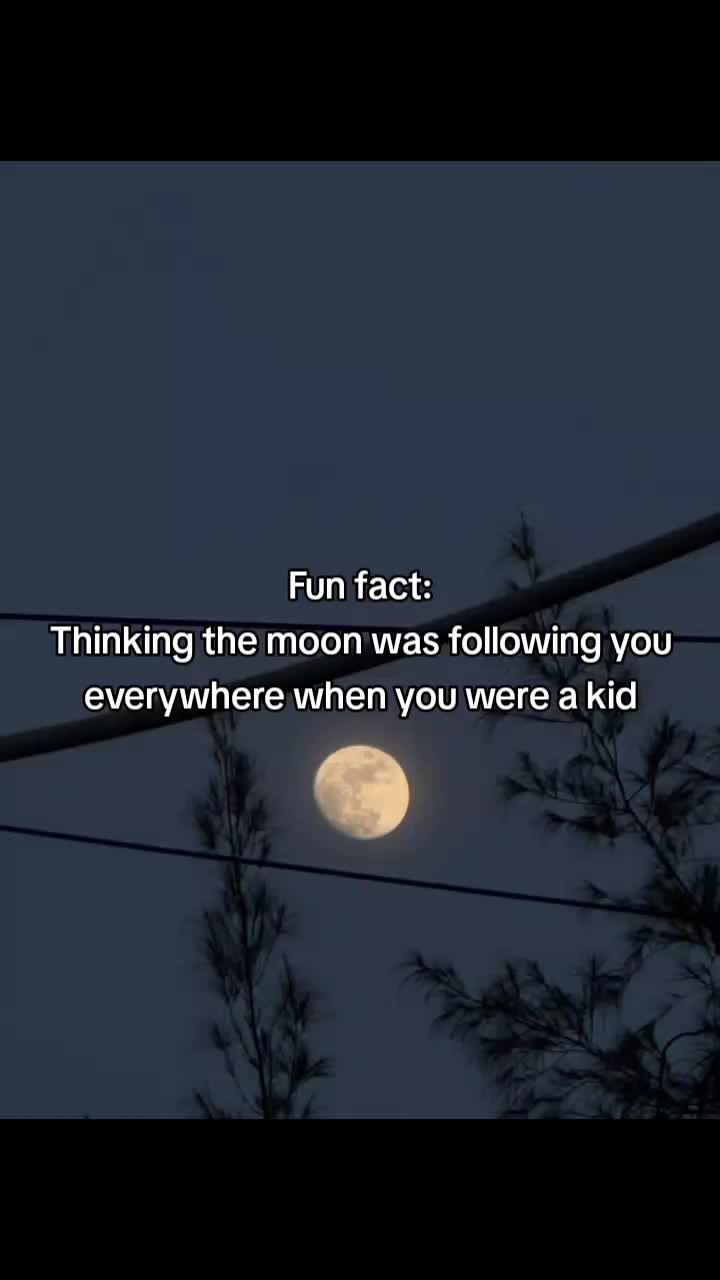 @⭒𝓥 ⭒