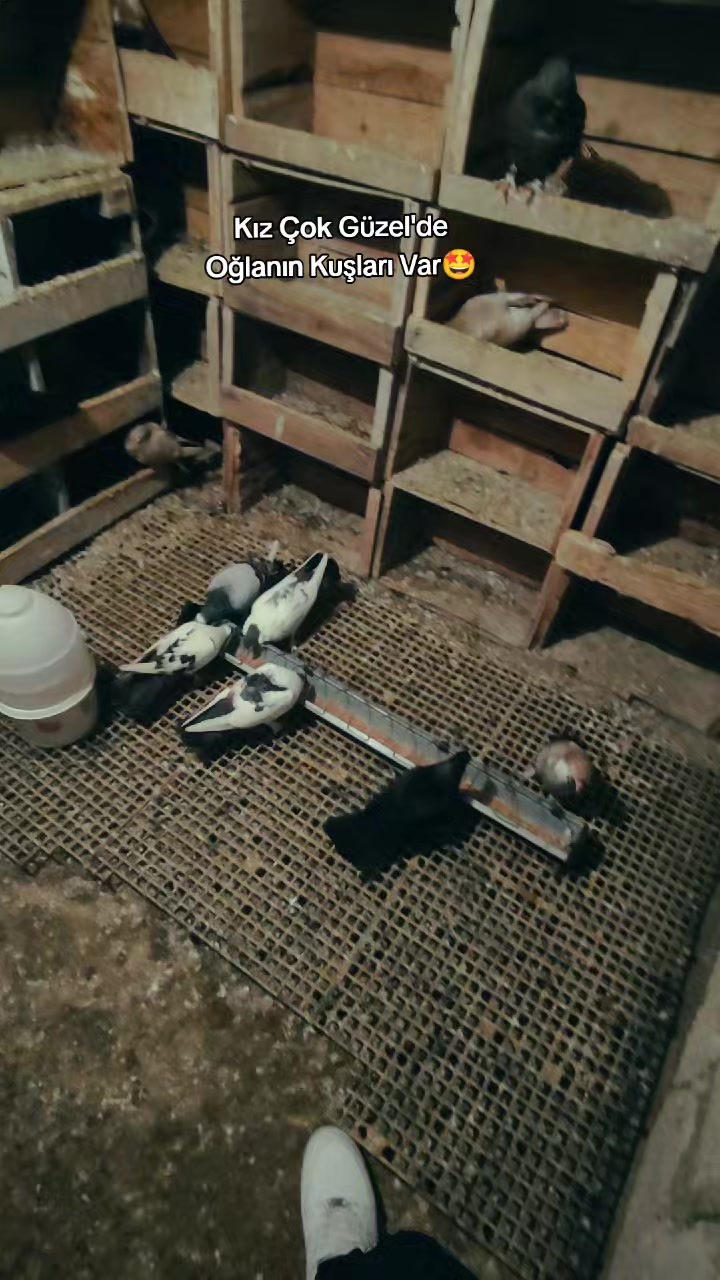 @๐๐ข๐ฅ๐ฆ๐ข๐๐๐ฒ๐ฝ
