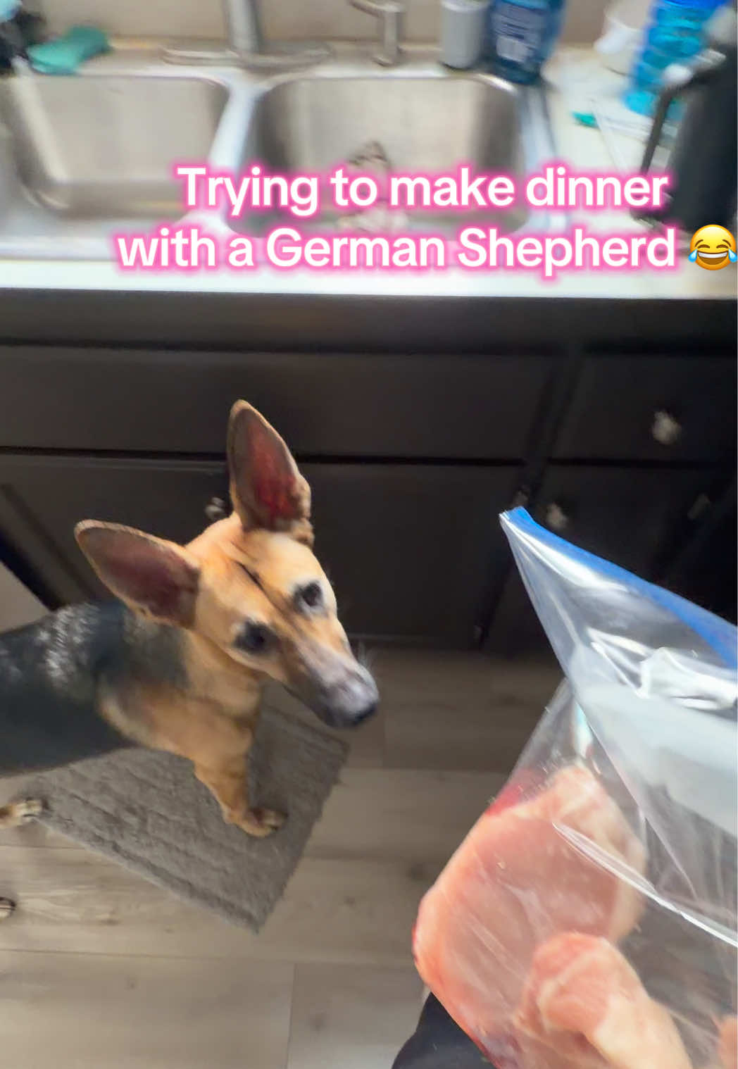 @Kiki.GSD