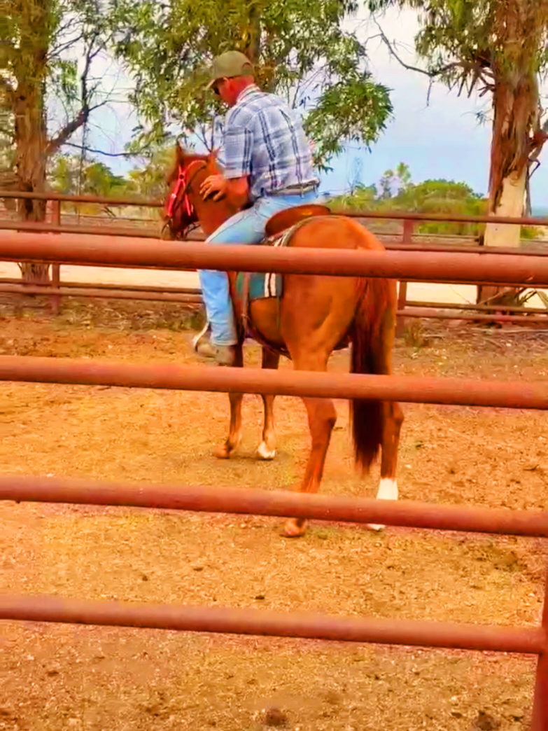 @Sutton Ranch