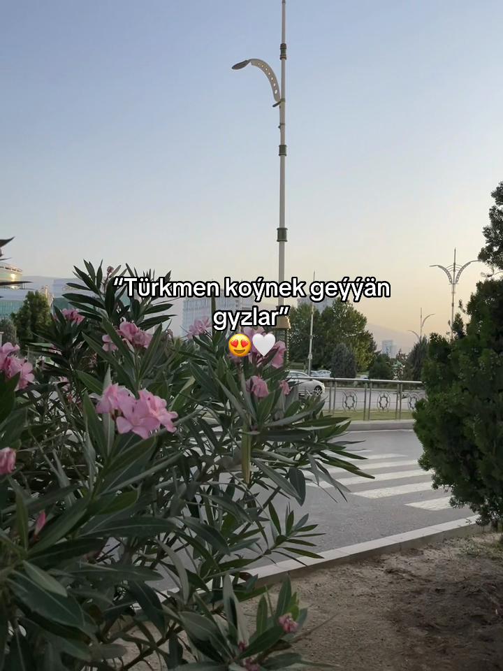 @B_ns.71