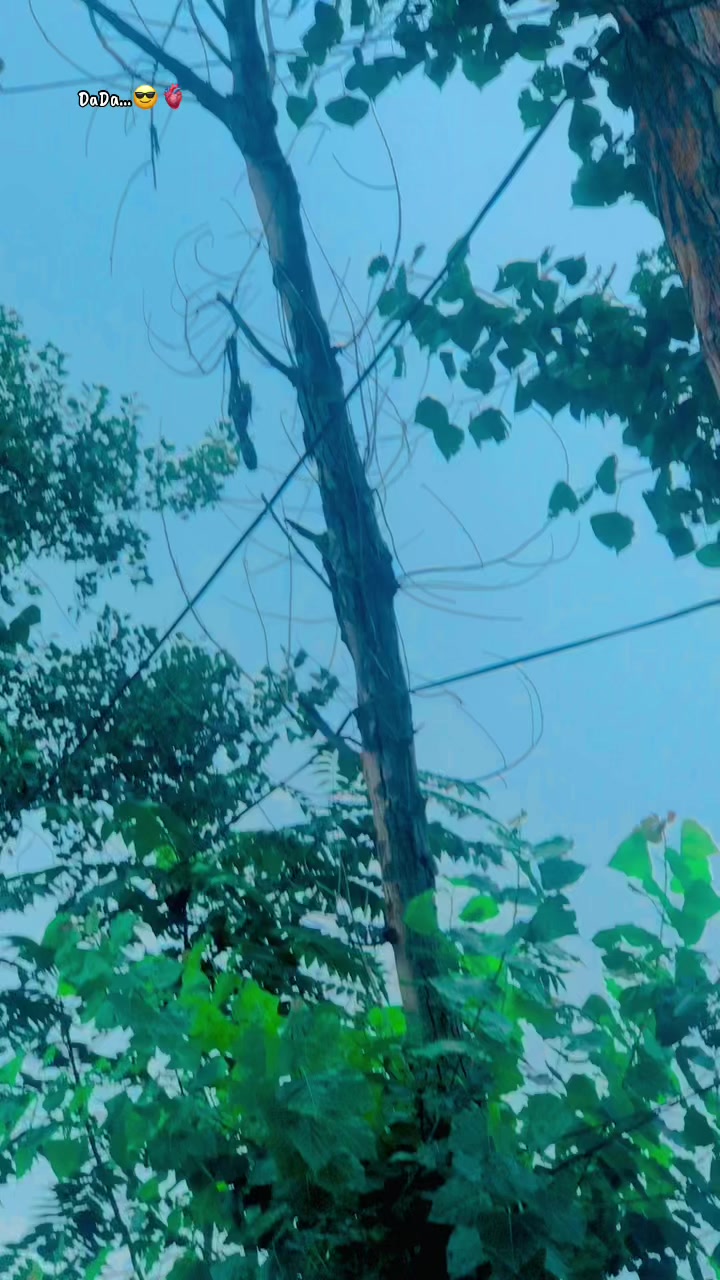 @🇹🇳_𝙈𝙠_(دادا)_🥷🏿