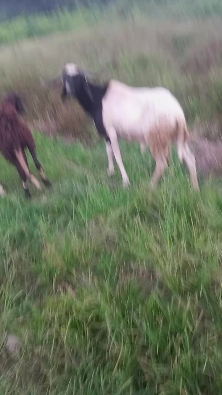 @Sangaré Moussa