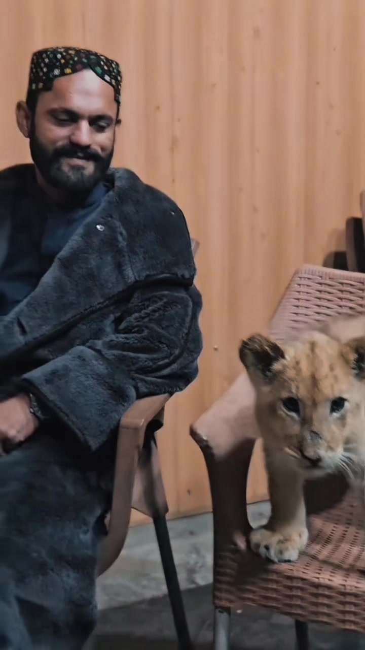 @🐺