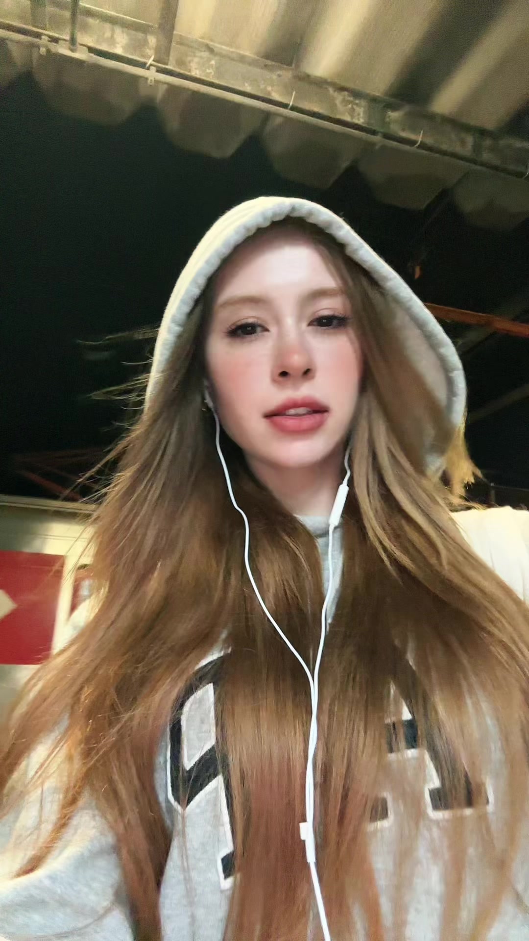 @Laurinha Fox🦊