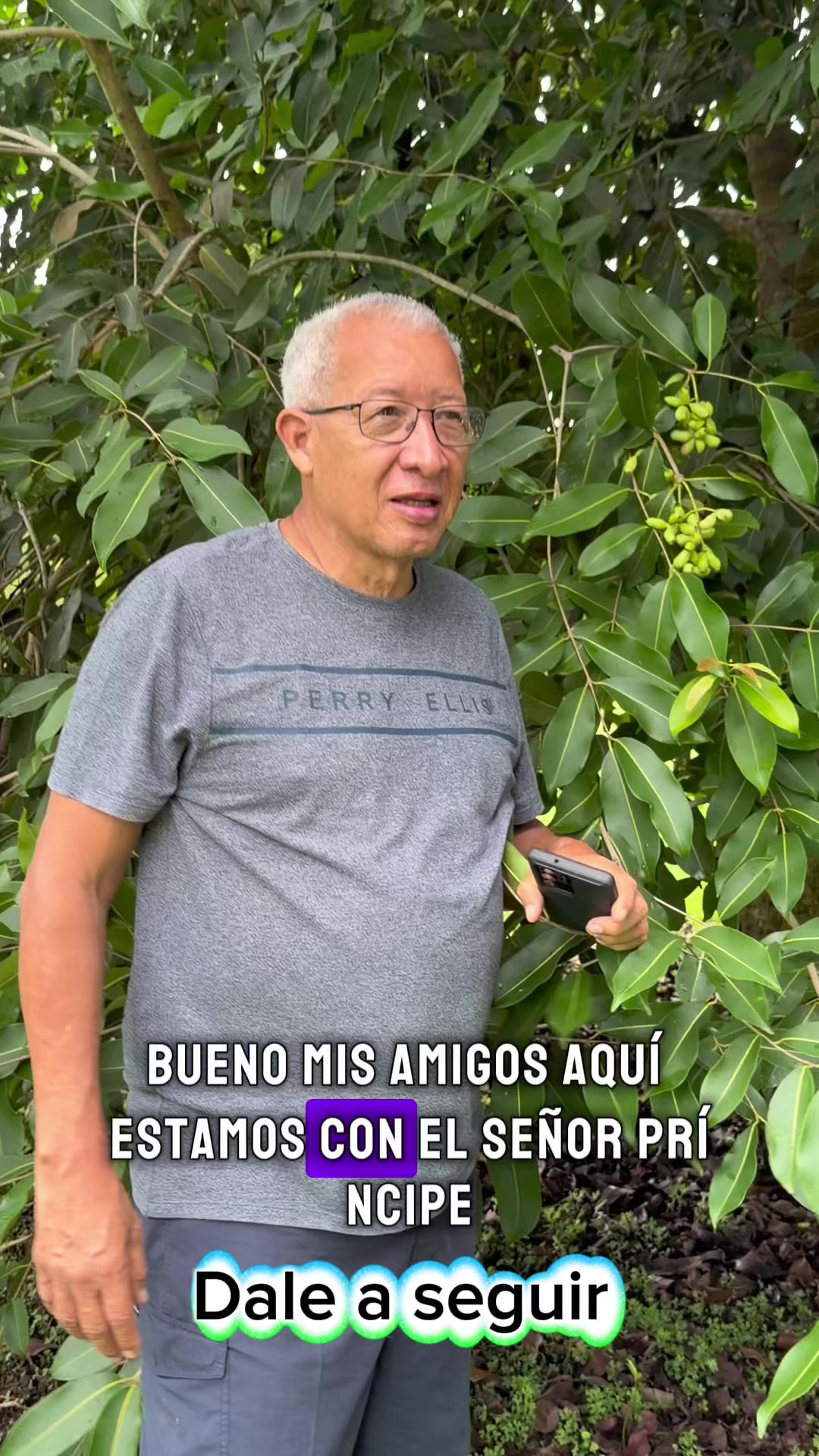 @507experiencia