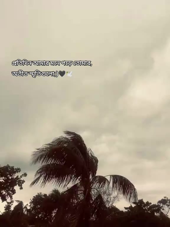 @✨ছোট নবাব 🖤😎