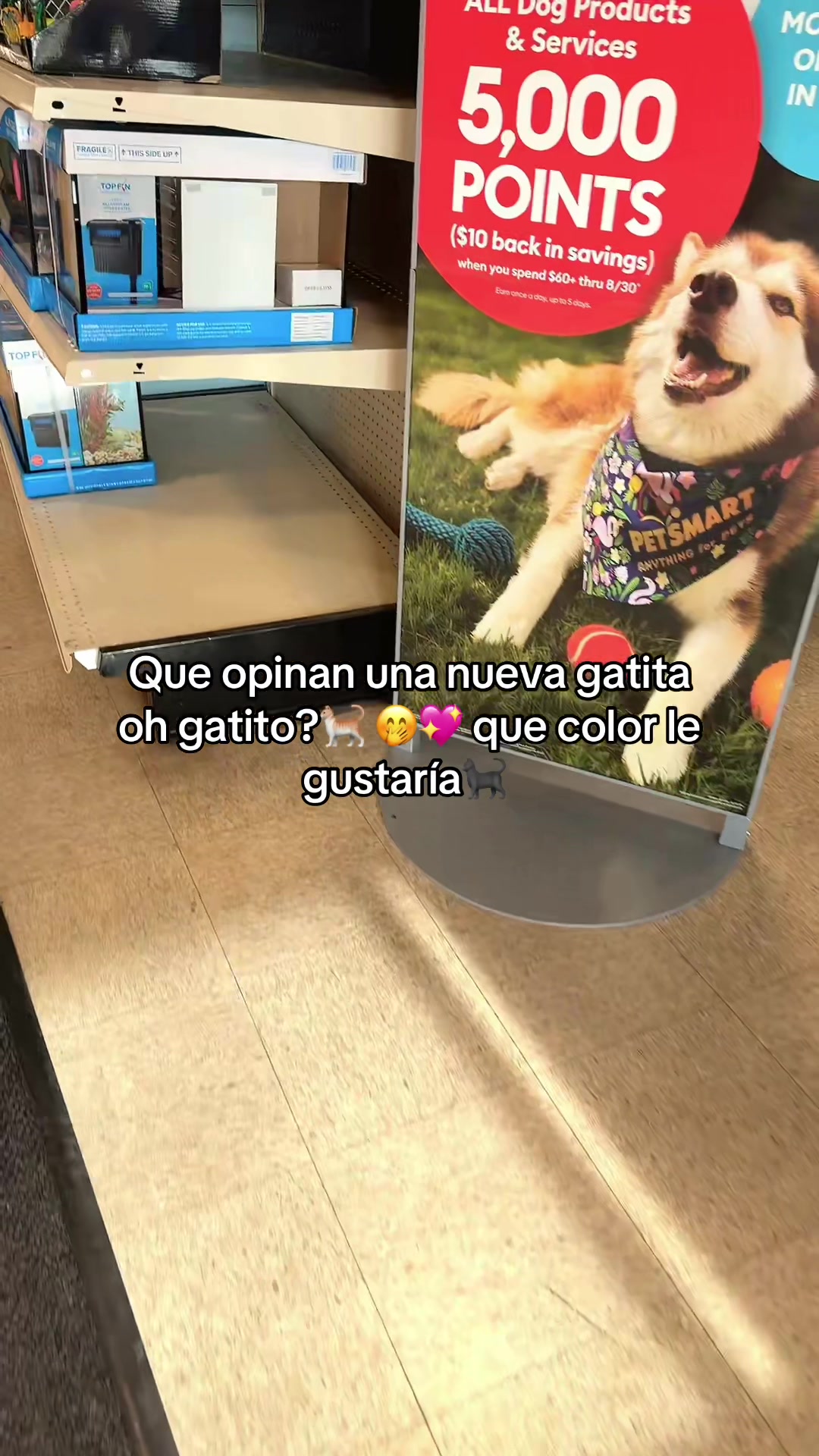 @DINAðð ðMEDINAð ðð