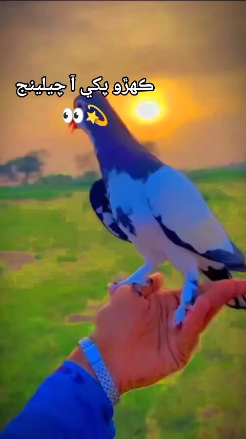 @👉⚡️HOAT SAHAB👈💫🔥