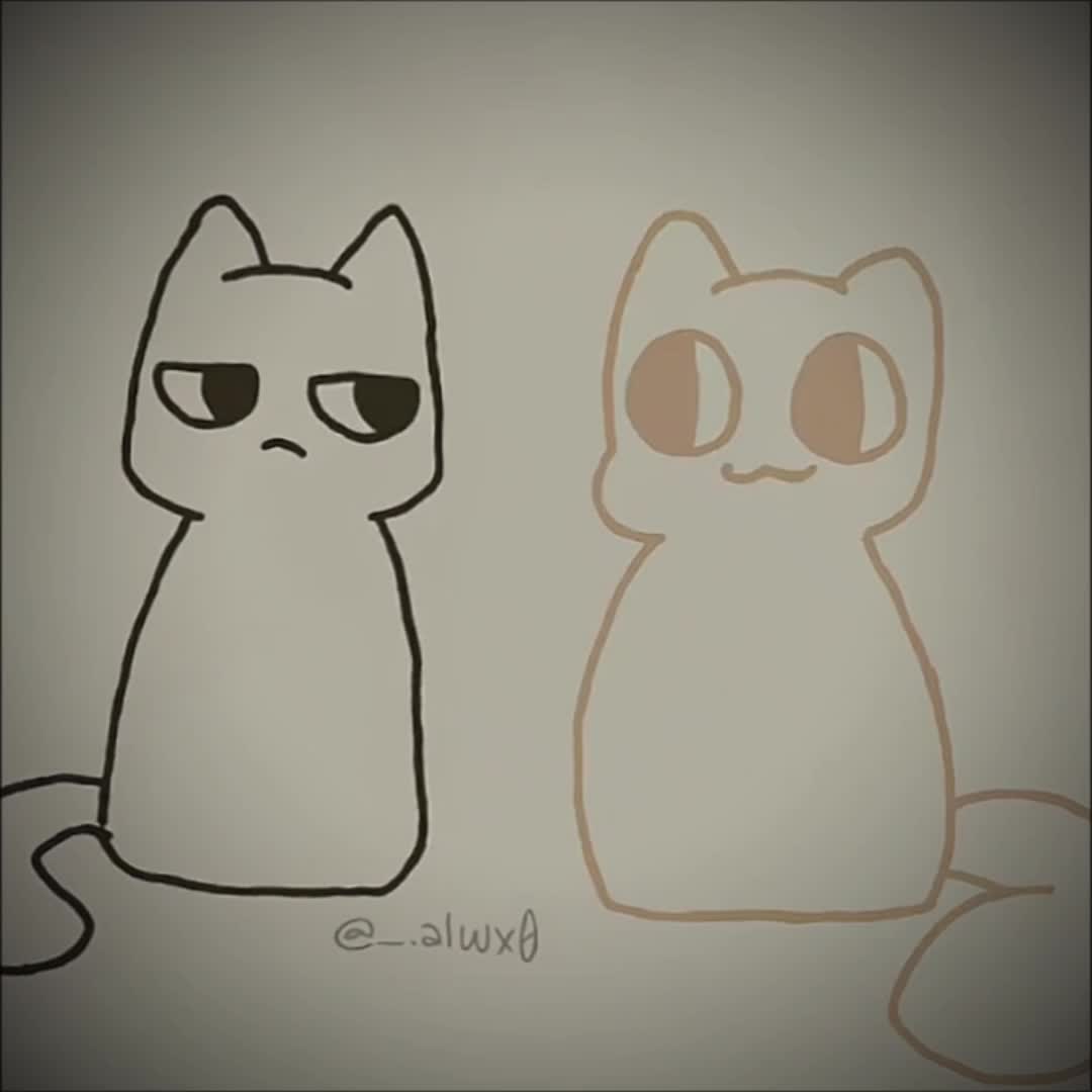 @๐ณ๐โก๐ค๐ผ๐๐๐ ๐คโก๐ณ๐