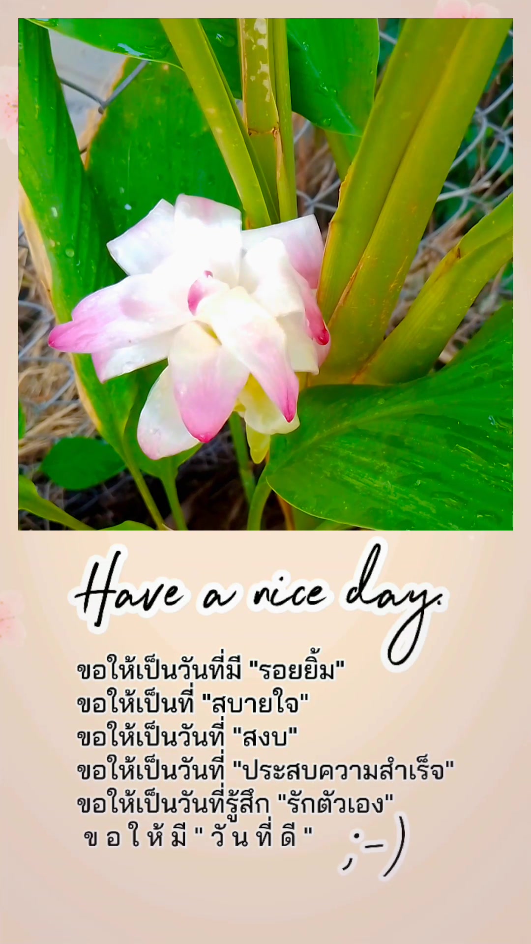 @🪻แม่นก☁️Nokja_Nuna🐦🪺