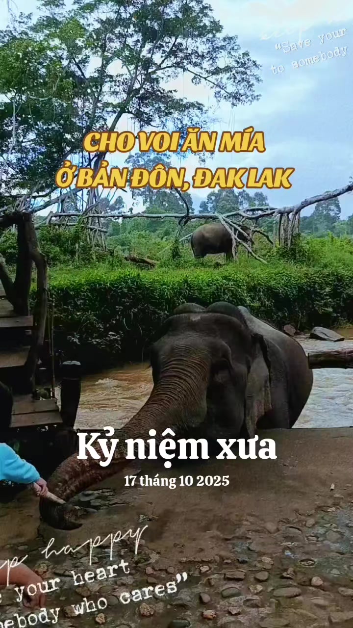 @Nhà Xe Tấn Tài An Châu AG