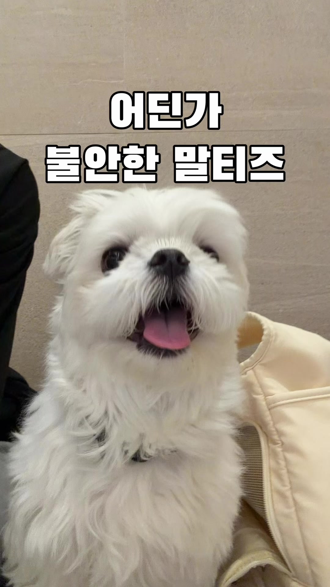 @박까까