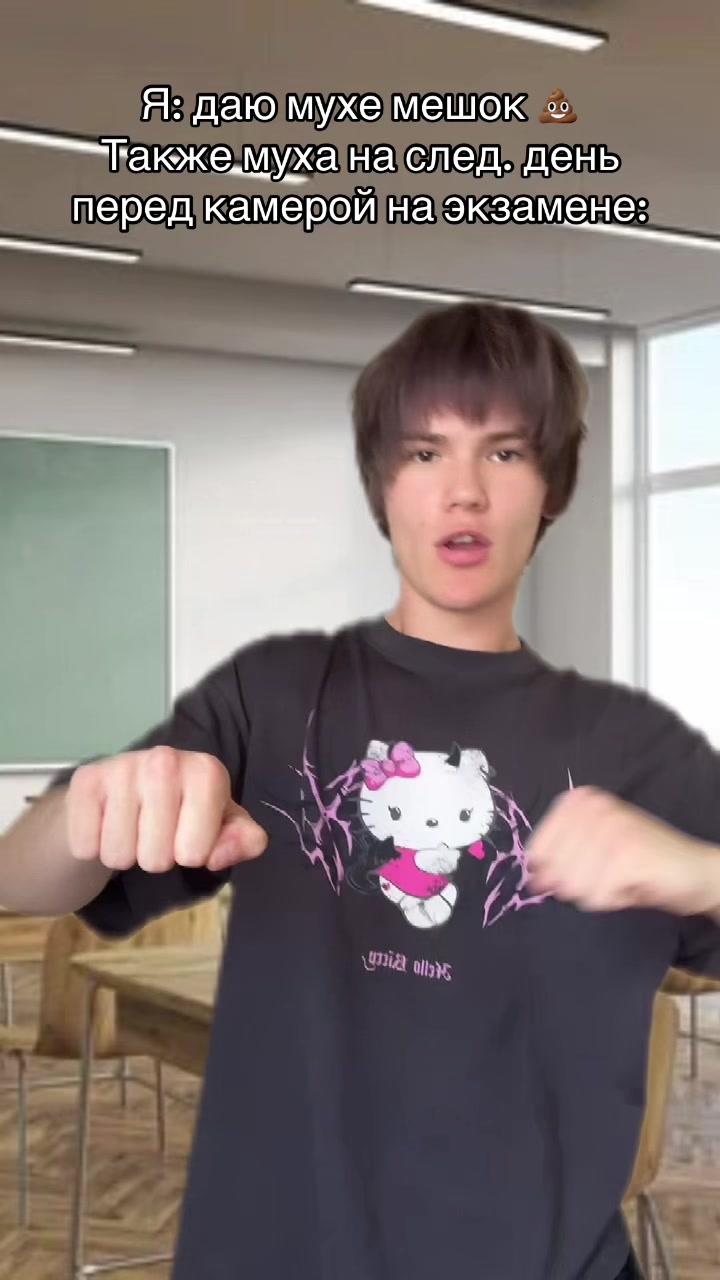@ТГК: Тимик и его команда 😺