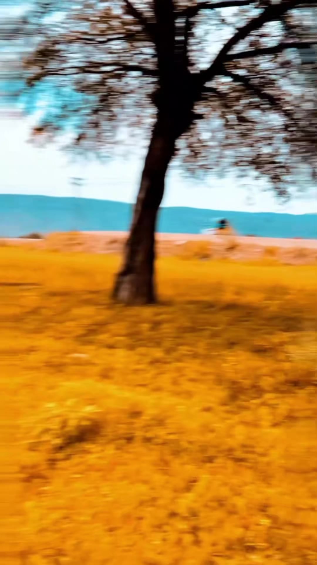 @𝑺𝑯𝑬𝑯𝒁𝑨𝑫𝑨 𝑲𝑯𝑨𝑳𝑰𝑫
