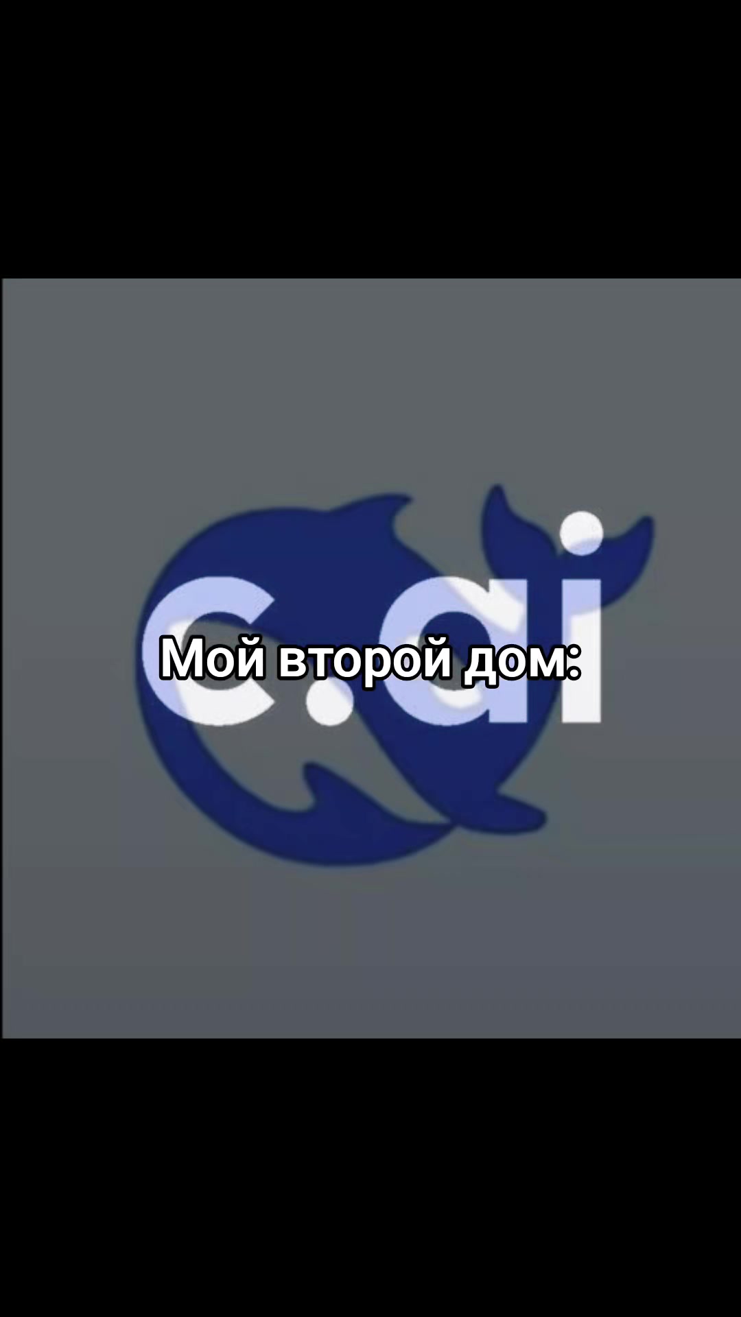 @౨ৎ.Ⲭⲁⲕⲟⲱυ⋆·˚ *🦭