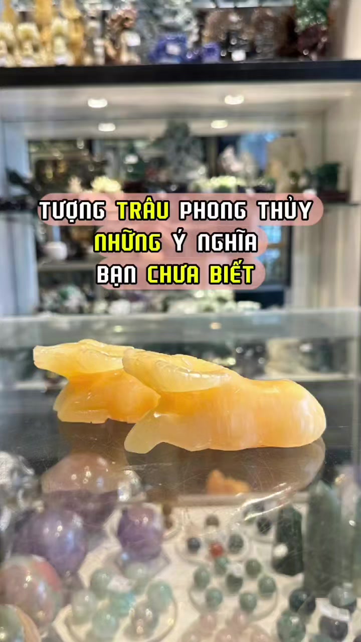 @Linh Vật Phong Thủy ☑️