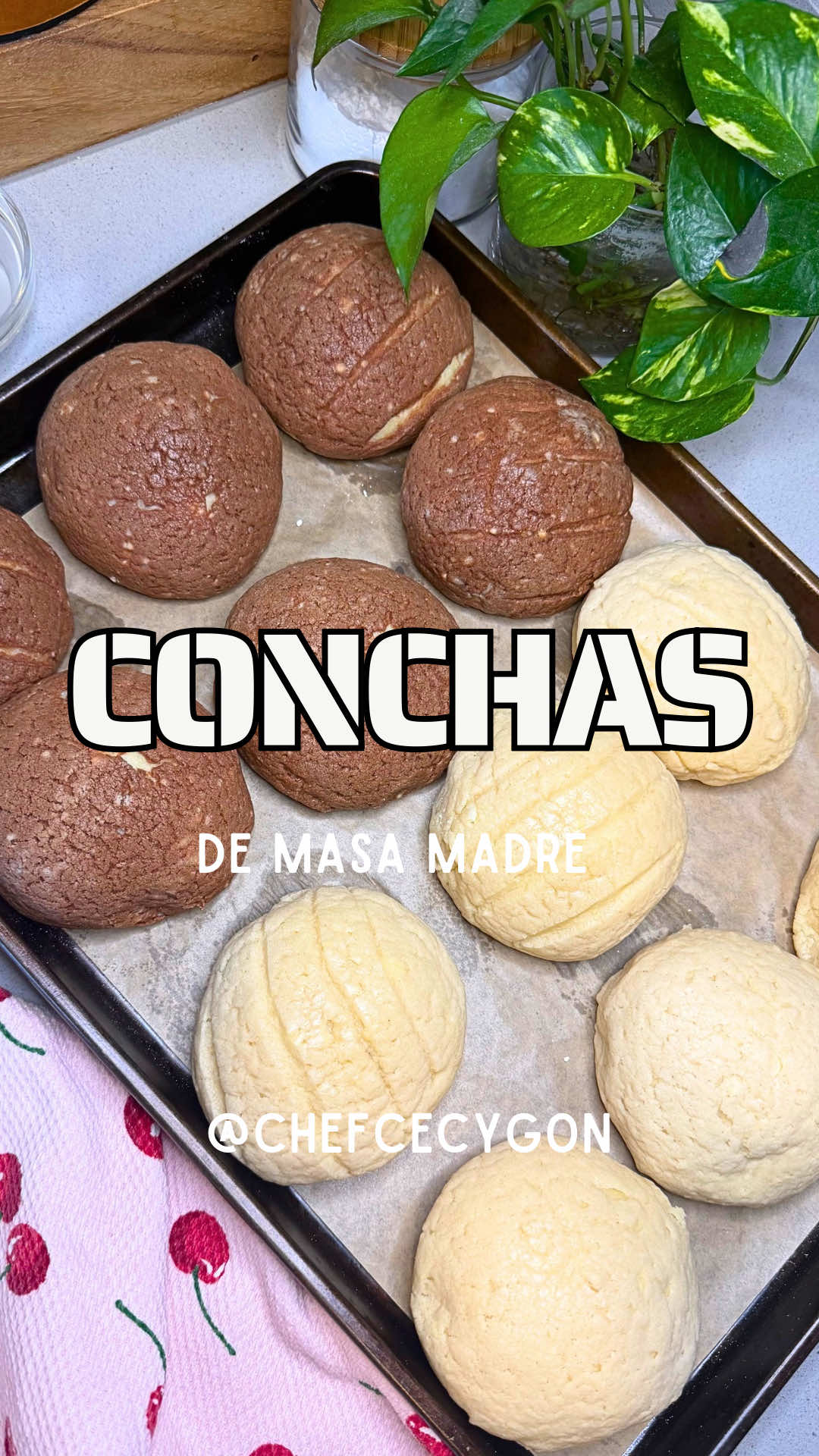 @Cecy Gonzalez
