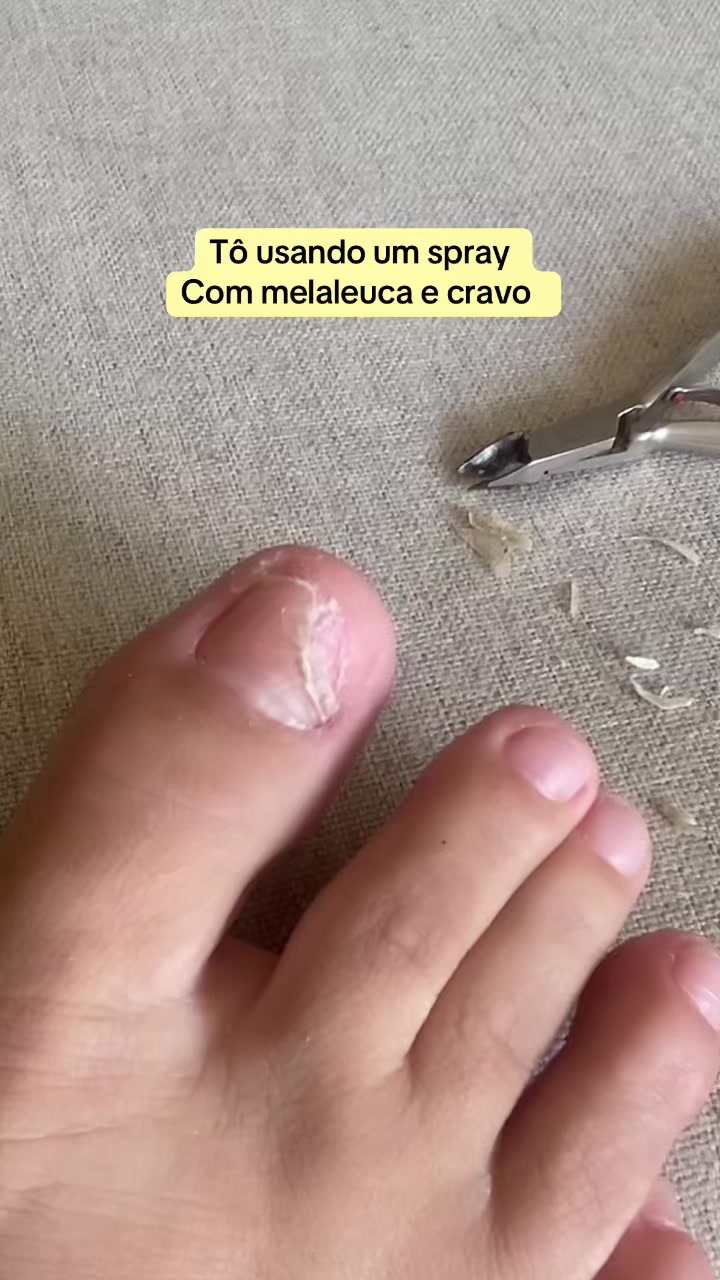 @Carolinaindica