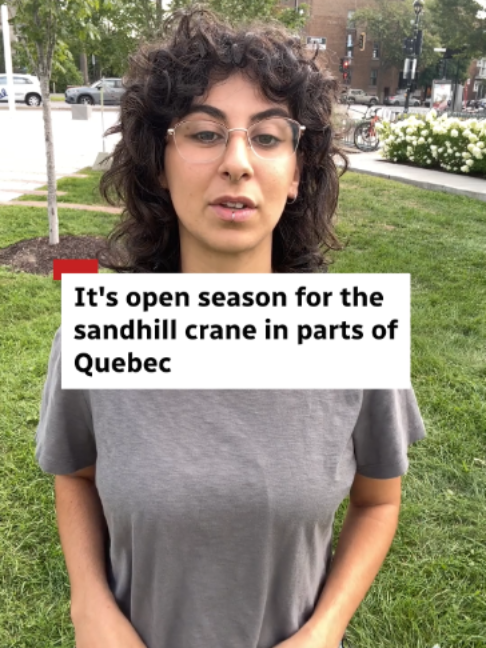 @CBC Montreal