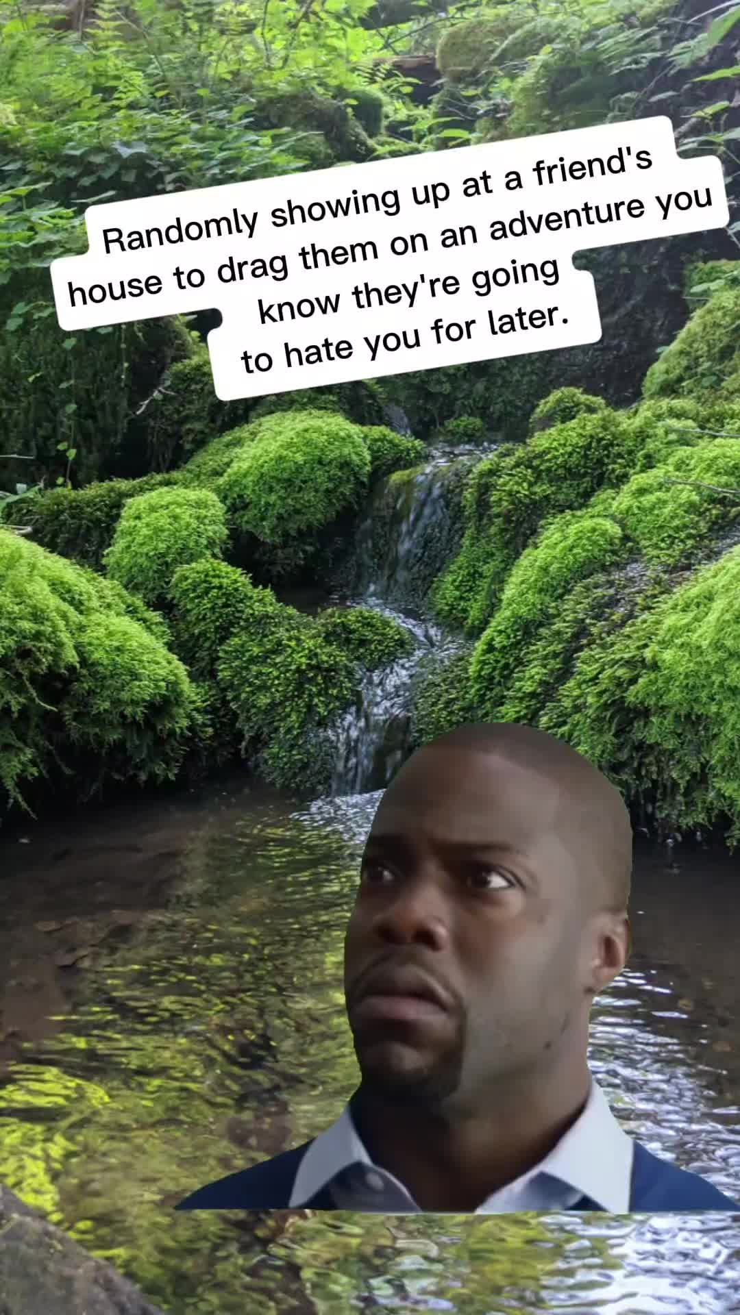 @Forrest of the Memes