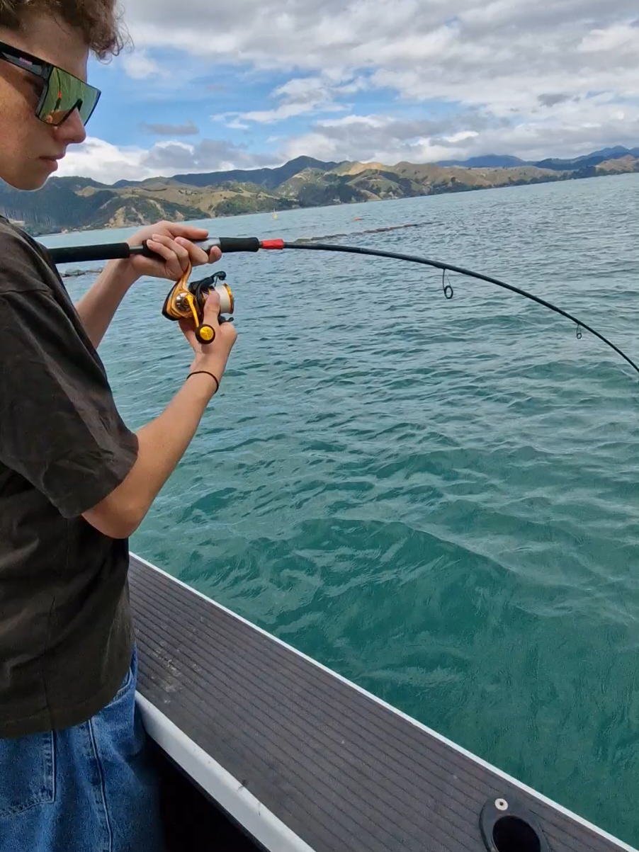@Trav🎣